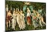 Sandro Botticelli - 'Primavera'-Sandro Botticelli-Mounted Giclee Print