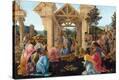 Stretched Canvas Print