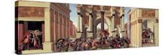 Stretched Canvas Print