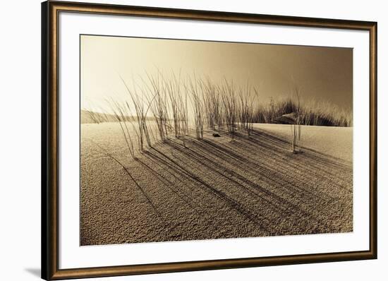 Sands of Time-Jo Crowther-Framed Giclee Print