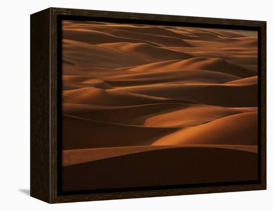 Sands of Time-Art Wolfe-Framed Premier Image Canvas