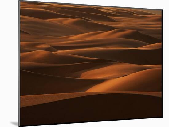 Sands of Time-Art Wolfe-Mounted Photographic Print
