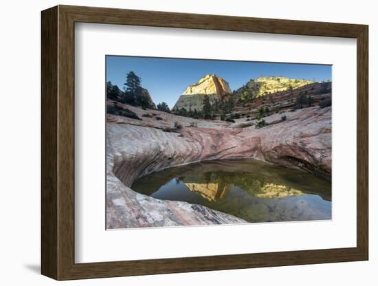 Sandstone and Pool, Zion National Park, Utah-Howie Garber-Framed Photographic Print