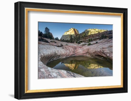 Sandstone and Pool, Zion National Park, Utah-Howie Garber-Framed Photographic Print