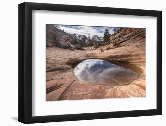 Sandstone and pool, Zion National Park, Utah-Howie Garber-Framed Photographic Print