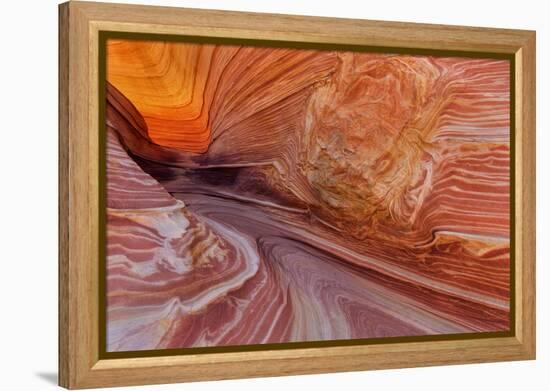 Sandstone at the Wave in the Vermillion Cliffs Wilderness, Arizona-Chuck Haney-Framed Premier Image Canvas