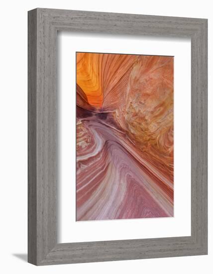 Sandstone at the Wave in the Vermillion Cliffs Wilderness, Arizona-Chuck Haney-Framed Photographic Print