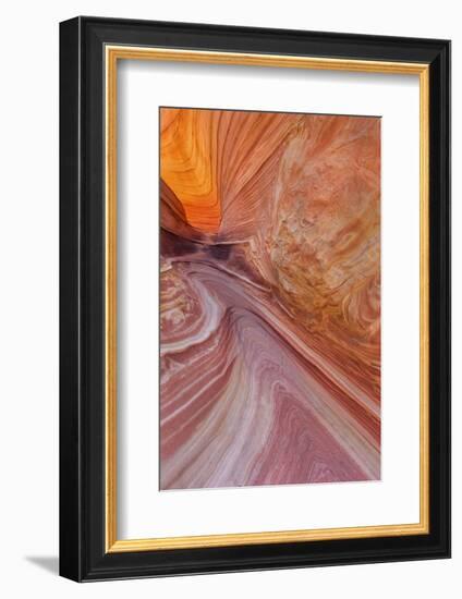 Sandstone at the Wave in the Vermillion Cliffs Wilderness, Arizona-Chuck Haney-Framed Photographic Print