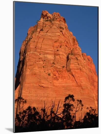 Sandstone Butte in Zion National Park-Scott T. Smith-Mounted Photographic Print
