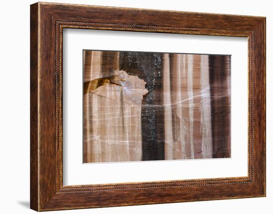 Sandstone cliff close-up, Grand Staircase-Escalante National Monument, Utah, USA-Panoramic Images-Framed Photographic Print