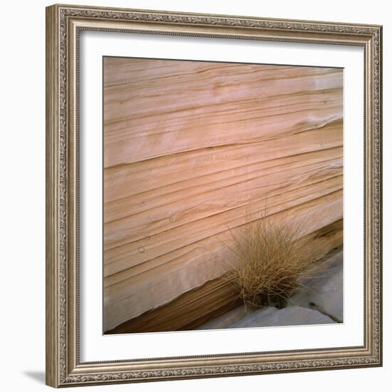 Sandstone Cliff-Micha Pawlitzki-Framed Photographic Print