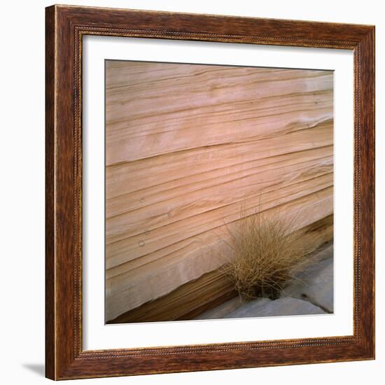 Sandstone Cliff-Micha Pawlitzki-Framed Photographic Print