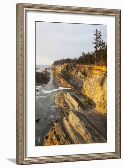 Sandstone Cliffs and Coastline, Shore Acres State Park, Oregon, USA-Jamie & Judy Wild-Framed Photographic Print