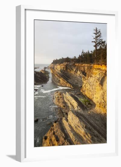 Sandstone Cliffs and Coastline, Shore Acres State Park, Oregon, USA-Jamie & Judy Wild-Framed Photographic Print