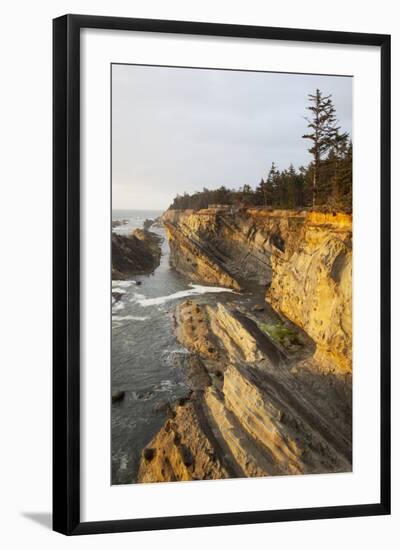 Sandstone Cliffs and Coastline, Shore Acres State Park, Oregon, USA-Jamie & Judy Wild-Framed Photographic Print