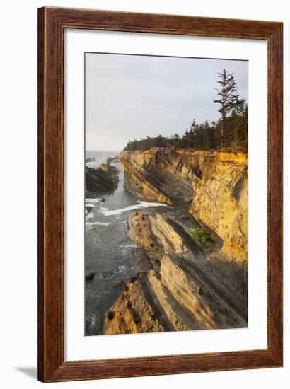 Sandstone Cliffs and Coastline, Shore Acres State Park, Oregon, USA-Jamie & Judy Wild-Framed Photographic Print