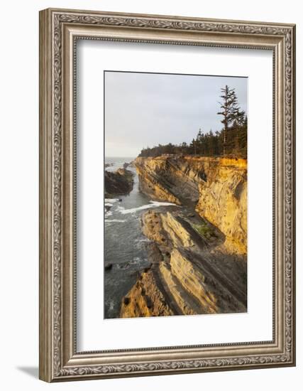 Sandstone Cliffs and Coastline, Shore Acres State Park, Oregon, USA-Jamie & Judy Wild-Framed Photographic Print