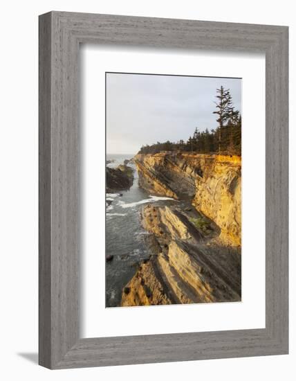 Sandstone Cliffs and Coastline, Shore Acres State Park, Oregon, USA-Jamie & Judy Wild-Framed Photographic Print