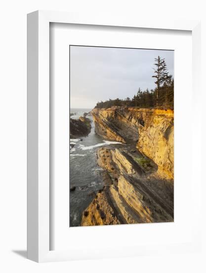 Sandstone Cliffs and Coastline, Shore Acres State Park, Oregon, USA-Jamie & Judy Wild-Framed Photographic Print