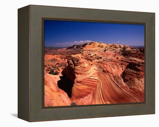 Sandstone Erosion of the Colorado National Monument, Colorado National Monument, USA-Mark Newman-Framed Premier Image Canvas