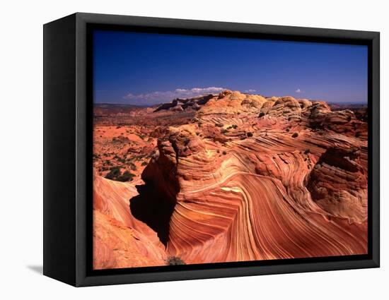 Sandstone Erosion of the Colorado National Monument, Colorado National Monument, USA-Mark Newman-Framed Premier Image Canvas