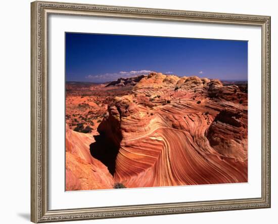 Sandstone Erosion of the Colorado National Monument, Colorado National Monument, USA-Mark Newman-Framed Photographic Print