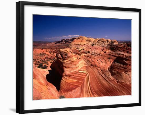 Sandstone Erosion of the Colorado National Monument, Colorado National Monument, USA-Mark Newman-Framed Photographic Print