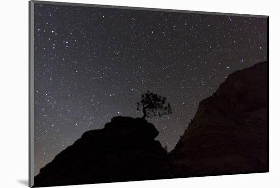 Sandstone Formation at Night in Zion National Park, Utah, USA-Chuck Haney-Mounted Photographic Print