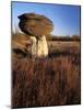 Sandstone formation, Mushroom Rocks State Park, Kansas, USA-Charles Gurche-Mounted Photographic Print