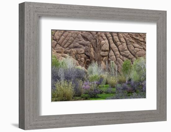 Sandstone formations in Dades Gorges, Morocco-Art Wolfe-Framed Photographic Print