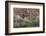 Sandstone formations in Dades Gorges, Morocco-Art Wolfe-Framed Photographic Print