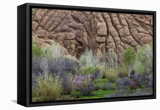 Sandstone formations in Dades Gorges, Morocco-Art Wolfe-Framed Premier Image Canvas