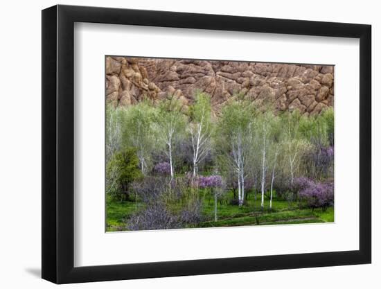 Sandstone formations in Dades Gorges, Morocco-Art Wolfe-Framed Photographic Print