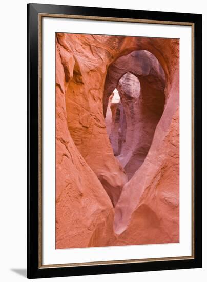 Sandstone formations in Peek-a-boo Gulch, Grand Staircase-Escalante National Monument, Utah, USA-Russ Bishop-Framed Premium Photographic Print
