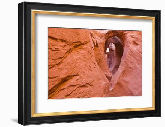 Sandstone formations in Peek-a-boo Gulch, Grand Staircase-Escalante National Monument, Utah, USA-Russ Bishop-Framed Photographic Print