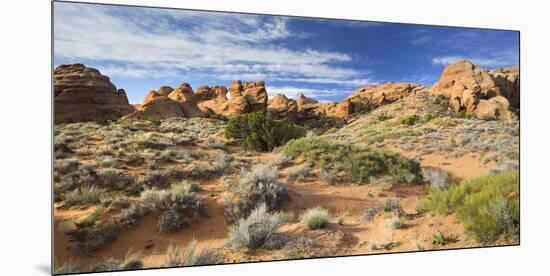 Sandstone Formations in the Devils Garden, Arches National Park, Utah, Usa-Rainer Mirau-Mounted Premium Photographic Print