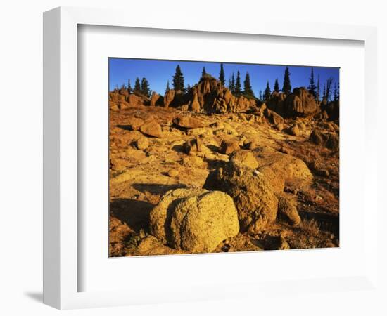 Sandstone formations on Manatash Ridge, Wenatchee National Forest, Washington, USA-Charles Gurche-Framed Photographic Print