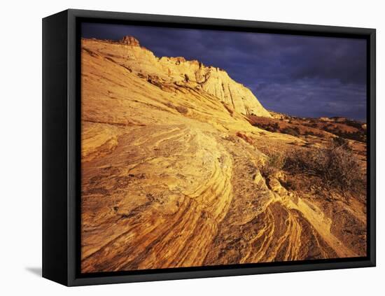 Sandstone, Grand Staircase-Escalante National Monument, Utah, USA-Charles Gurche-Framed Premier Image Canvas