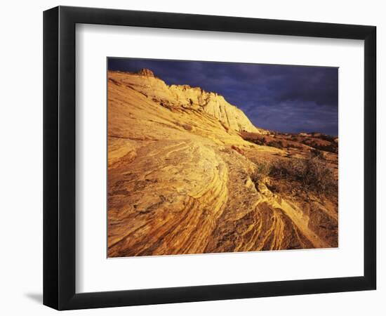 Sandstone, Grand Staircase-Escalante National Monument, Utah, USA-Charles Gurche-Framed Photographic Print