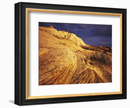 Sandstone, Grand Staircase-Escalante National Monument, Utah, USA-Charles Gurche-Framed Photographic Print