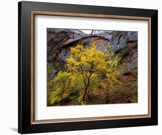 Sandstone in Soft Autumn Rain, Utah, USA-Jerry Ginsberg-Framed Photographic Print