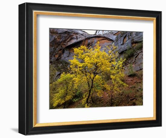 Sandstone in Soft Autumn Rain, Utah, USA-Jerry Ginsberg-Framed Photographic Print