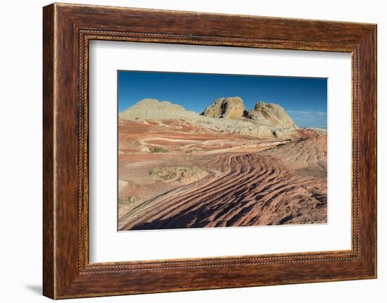 Sandstone Landscape, Vermillion Cliffs, White Pockets Wilderness, Bureau of Land Management, Arizon-Howie Garber-Framed Photographic Print