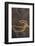 Sandstone, Petroglyphs, Utah, USA-Gerry Reynolds-Framed Photographic Print