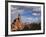 Sandstone Rock Formations in the Windows Region of Arches National Park, Near Moab, Utah-David Pickford-Framed Photographic Print