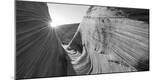 Premium Photographic Print