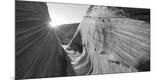 Photographic Print