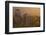 Sandstone Rocks, Saxon Switzerland, Evening Light-Uwe Steffens-Framed Photographic Print