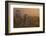 Sandstone Rocks, Saxon Switzerland, Evening Light-Uwe Steffens-Framed Photographic Print