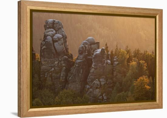 Sandstone Rocks, Saxon Switzerland, Evening Light-Uwe Steffens-Framed Premier Image Canvas